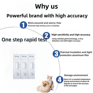 CHW AG Essential peralatan diagnostik dokter hewan, Kit tes cepat anjing untuk pencegahan dan perawatan <span class=keywords><strong>Heartworm</strong></span> - Product Image 4
