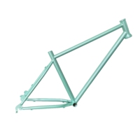 TRB Kit de vélo électrique couleur personnalisée Cadre de vélo électrique de course élégant en acier Cr-Mo conçu pour augmenter la vitesse en compétition