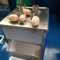 Groente Cassave Raap Snijmachine voor het snijden van fruit