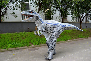 Modelo de Simulación de Dinosaurio Velociraptor Adulto, Disfraz Animatrónico para Parques de Aventuras, Aeropuertos, Parques Temáticos, Parques de Diversiones y Centros Comerciales - Product Image 3