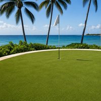 Gazon artificiel intérieur et extérieur, mini-golf, tapis de gazon vert, gazon de golf