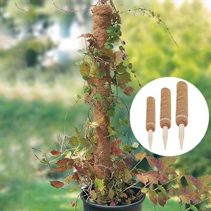 Custom Package Totem Plant Climbing Support Indoor Decorative Coir Moss Pole Set