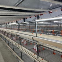 Fermes avicoles cage automatique pour poulets de chair d'élevage en batterie de type h