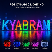 Enseigne LED extérieure, lettres lumineuses 3D, contrôleur RGB programmable, éclairage de vacances, affichage lumineux pour entrée de centre commercial