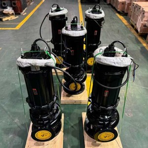 Bombas Sumergibles de 7.5 Kilovatios, de 4 y 6 Pulgadas, para Riego Agrícola y Dragado de Ríos - Product Image 5