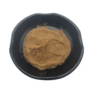 Poudre d'extrait d'Ashwagandha de soins de santé naturels de haute qualité extrait de plante extrait de racine d'Ashwagandha poudre d'Ashwagandha