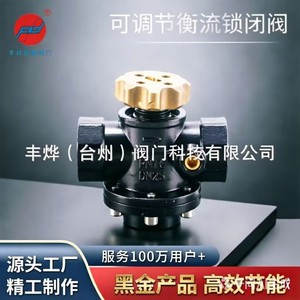 Válvula de Control de Flujo Constante Feng Ye DN25 de Acero Inoxidable 304, Autorregulable Térmica con Bloqueo Magnético - Product Image 5