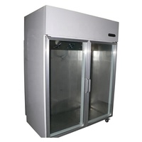Réfrigérateur vertical 2000L avec 2 portes vitrées, refroidissement par air, éclairage LED et efficacité énergétique 5 étoiles pour la présentation et le stockage de glace