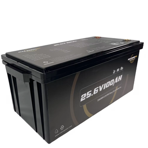 แบตเตอรี่น้ำหนักเบา LiFePO4เป็นมิตรกับสิ่งแวดล้อมสูงสุด24โวลต์100Ah ความจุสูงสำหรับ EV RV และการใช้งาน - Product Image 2