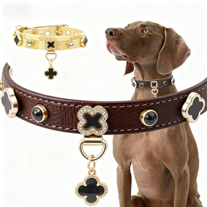 बहुमुखी मोती हार कुत्ते सहायक चनौजर टेडी फोटो इंटरनेट सेलिब्रिटी आंरकि - Product Image 1