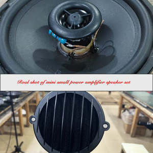 Sistema de Subwoofer Impermeable para Jardín ST05/ST08S, Altavoces de Paisaje de Rango Completo con Montaje en Espiga para Jardín, Césped, Parque - <span class=keywords><strong>Música</strong></span> al Aire Libre - Product Image 4