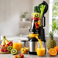 Commerciële elektrische koude pers handmatige mini draagbare slow juicer voor frisse smoothies, fruit, citrus en sinaasappelsap.