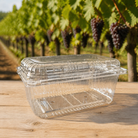 Conteneur à raisins prêts à l'emploi, capacité 1 lb, écologique, en RPET/PET recyclé, jetable, type coquille