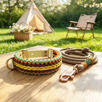 Ensemble collier et laisse pour chien réglables sur mesure, laisse en corde bleue tressée personnalisée assortie pour chiens de petite et grande taille, promenade en plein air