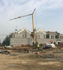 High Performance Mini Portable Electric Tower Crane Good Price - Product Image 5