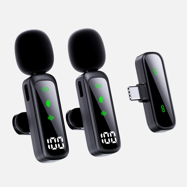 ไมโครโฟน2