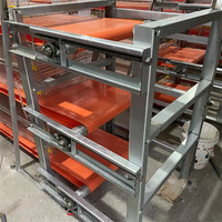 Cage à cailles automatique avec bande transporteuse à fumier et production d'œufs