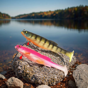 MAGDRAFT de 125 mm y 21 g (5 pulgadas/3/4 oz) Señuelo de Pesca Suave, Imán, Plomo, Cebo Artificial Biónico para Lubina, Salmón, Lago, HBS04 - Product Image 1