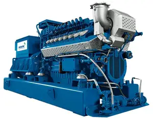 1000kw 1Mw Gasgenerator Aardgas Generator Voor Power Plant