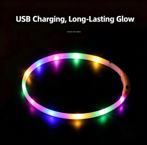 LED 충전식 야광 개목걸이 USB 충전 플라스틱 실리콘 소재 견고한 모던 디자인 대형/중형/소형견용 - Product Image 5