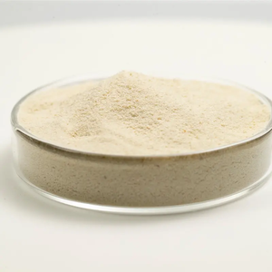 Poudre de levure enrichie en sélénium, <span class=keywords><strong>zinc</strong></span> et chrome de qualité alimentaire, améliorant la nutrition pour l'<span class=keywords><strong>alimentation</strong></span> animale et les compléments alimentaires humains - Product Image 2