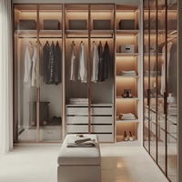 BALOM Dressing de Luxe en Verre, Armoire Intégrée, Combinaison Bois-Verre, Tiroirs à Fermeture Douce, Éclairage LED, Personnalisable, OEM, Vente en Gros