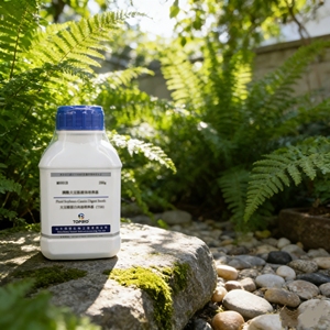 <span class=keywords><strong>MMN</strong></span> ระดับกลาง - Product Image 1