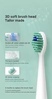 Brosse à dents électrique de haute qualité batterie de nettoyage Rechargeable IPX7 étanche adulte Micro USB doux DC charge brosse à dents sonique