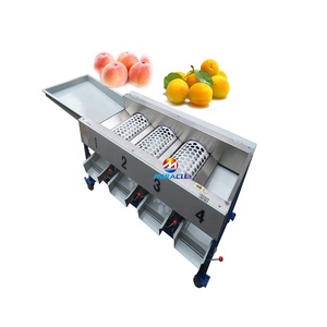 Máquina Clasificadora de Tambor Rotatorio, Máquina Clasificadora de Naranjas, Máquina Clasificadora de Mandarinas - Product Image 5