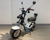 Scooter électrique Citycoco X12 à succès, 2000W, haute vitesse, 60V, scooter électrique intelligent numérique avec garantie au meilleur prix Citycoco