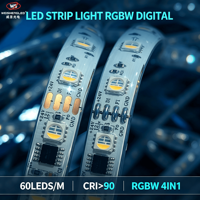 Bande LED RGBW CCT adressable SPI, programmable, à pixels, 5050 24V, en cuivre, pour éclairage architectural intelligent
