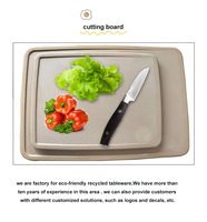 Accessoires d'équipement de cuisine, planche à découper carrée en écorce de riz écologique pour légumes, fruits et viande - Antibactérienne, légère