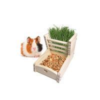 Station d'alimentation en bois pour animaux de compagnie, support à foin, plateau à nourriture, porte-bouteille d'eau, mangeoire pour animaux, cochon d'Inde, lapin, vente en gros directe d'usine