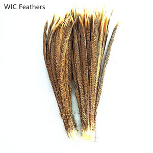 Lông Đuôi Gà Lôi Vàng Dài 10-75Cm/4-30in Màu Tự Nhiên - Product Image 2