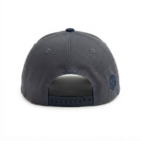 Gorras Personalizadas Unisex para Papá con Patrones de Leopardo y Frutas Bordadas a Mano, 100% Algodón Oxford Popelín, Cierre Ajustable, Logotipo Personalizado