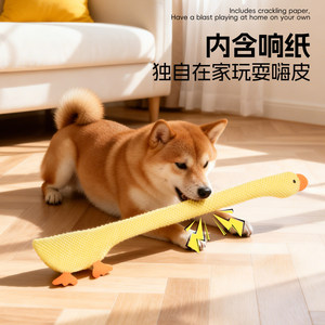 Jouets pour chiens, jouets en peluche durables qui font du bruit, parfaits pour les chiots, les Bichons, les Teddy Bears et les Corgis, un excellent moyen de les réjouter. - Product Image 5