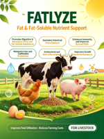 Additif alimentaire à 70 % d'acides biliaires : Réduit le FCR et favorise une croissance saine pour l'élevage commercial de poulets de chair