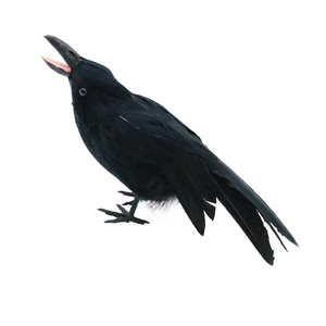 Cuervo Negro de Peluche Realista para Halloween con Diseño de Pico Abierto, Adorno de Jardín para el <span class=keywords><strong>Festival</strong></span> de los Fantasmas, Modelo Aterrador para Año Nuevo y Navidad - Product Image 6
