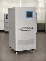 Stabilisateur de tension automatique monophasé haute précision, bobine en cuivre TND, technologie SVC de stabilisation de tension haute puissance, 220V AC
