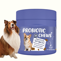 Complément alimentaire naturel probiotique en comprimés à mâcher pour chiens, favorise la santé digestive et immunitaire, absorption rapide, soins de santé pour animaux de compagnie