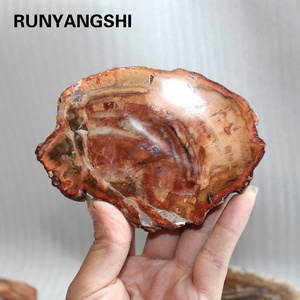 Gỗ Tự Nhiên Đá Hóa Thạch Đá Chữa Bệnh Tinh Thể Đá Chữa Bệnh Hóa Thạch Gỗ Thạch Anh Hóa Thạch - Product Image 1