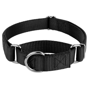 Kingtale-Collar de perro martingala de nailon personalizado OEM para mascotas - Product Image 2