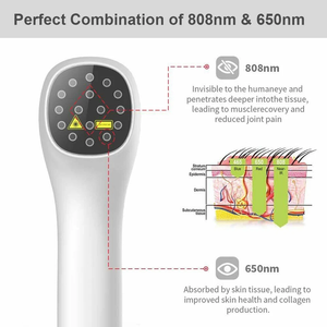 Perangkat Terapi <span class=keywords><strong>Laser</strong></span> Dingin 808nm untuk Pereda Nyeri Saraf, Sendi, Arthritis, Punggung, Leher, <span class=keywords><strong>LLLT</strong></span> Akupunktur, Instrumen Veteriner - Product Image 4