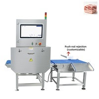 Système de Détection Automatique d'Objets Étrangers par Rayons X Haute Précision avec Système de Rejet, Protection IP65 pour Aliments Emballés, Garantie 1 An