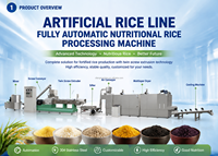 Ligne de production industrielle automatique de riz artificiel nutritif et doré, extrudeuse de riz reconstitué enrichi en vitamines