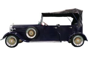 2024 Classic Vintage Electric Sightseeing Bus Car Transporte especial a la venta - Product Image 3