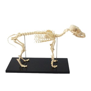PVC - Product Image 5