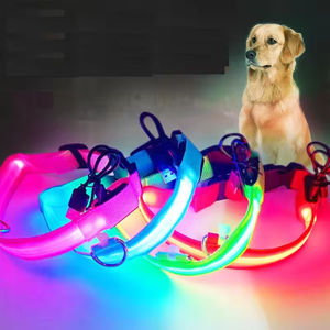 Collar de Perro Luminoso LED de Nailon, Ajustable, Ecológico, con Patrón Sólido, Recargable, para Seguridad Nocturna en Todas las Estaciones - Product Image 2