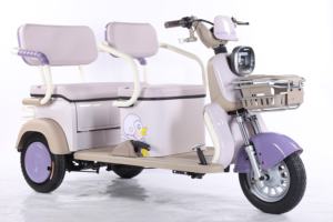 Venta directa de fábrica de productos populares, incluidos triciclos eléctricos asequibles con asientos de pasajeros a la venta - Product Image 5