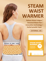 Patch chauffant à la vapeur pour le dos, chaleur douce, soulage la raideur et la fatigue, auto-chauffant, soutien lombaire thermique, vente en gros